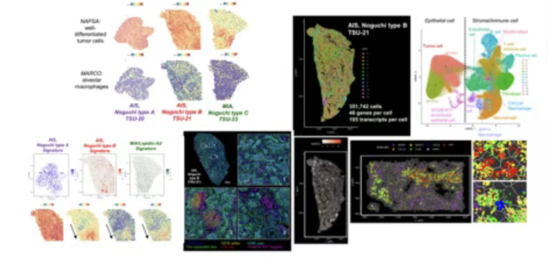 WindBlow-A7zjdwQb-000169