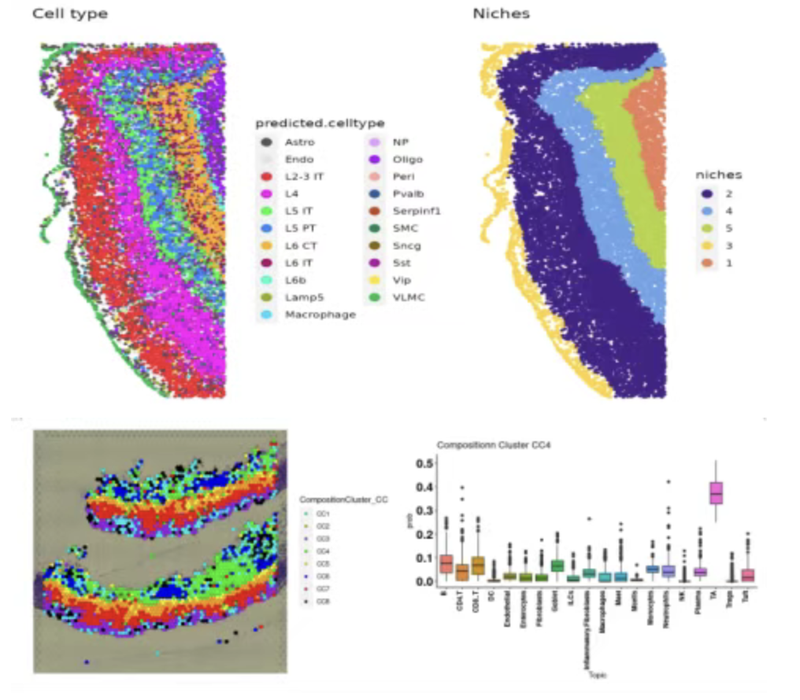 WindBlow-QHj2pQwM-000178
