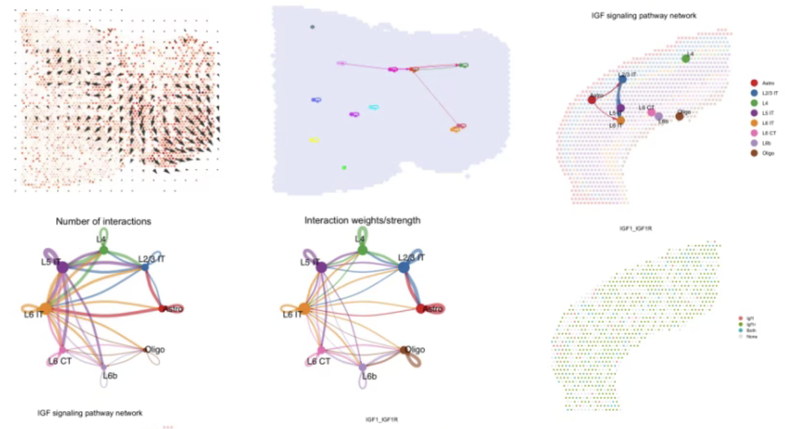 WindBlow-exbDcDqN-000174