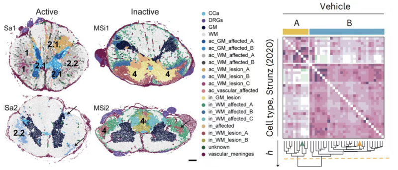 WindBlow-lYRt1fsJ-000163