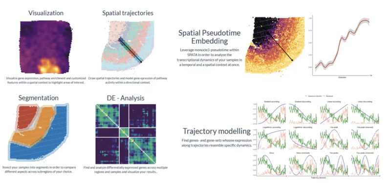 WindBlow-vawD1TML-000172