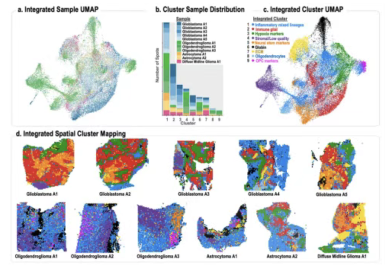 WindBlow-yJxntuQT-000170