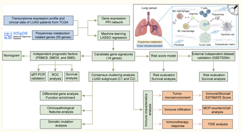 image-20251105161619890