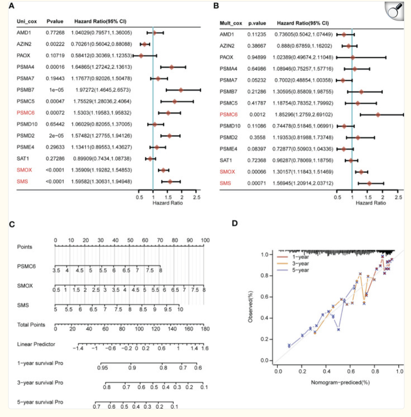 image-20251105162001402