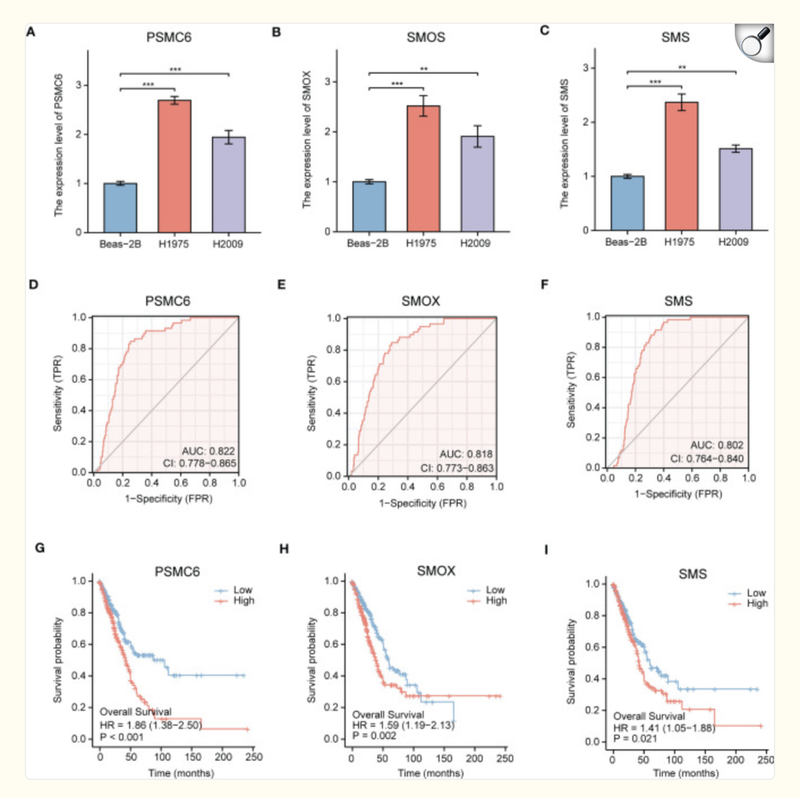 image-20251105162125706