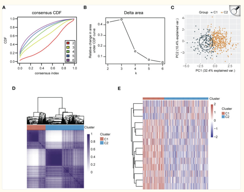 image-20251105162222816