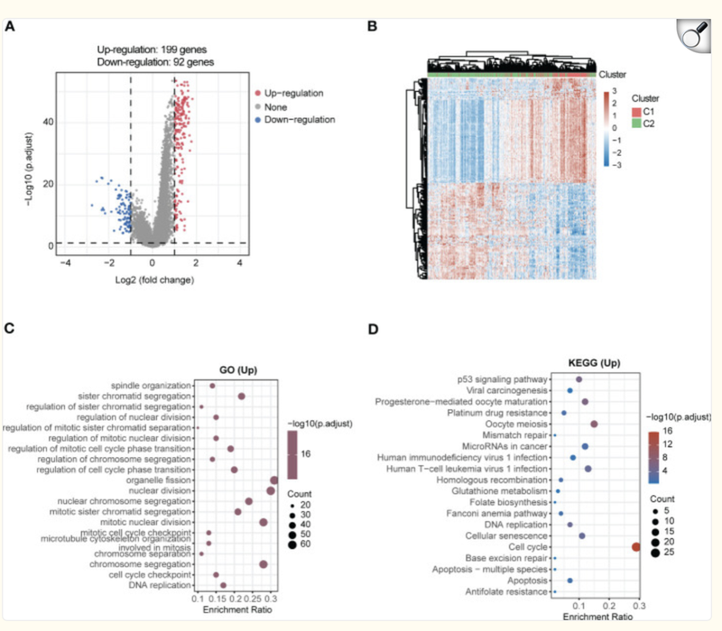 image-20251105162324772