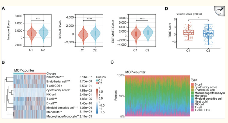 image-20251105162707940
