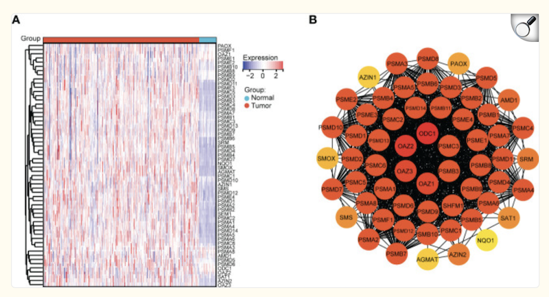 image-20251106121121214