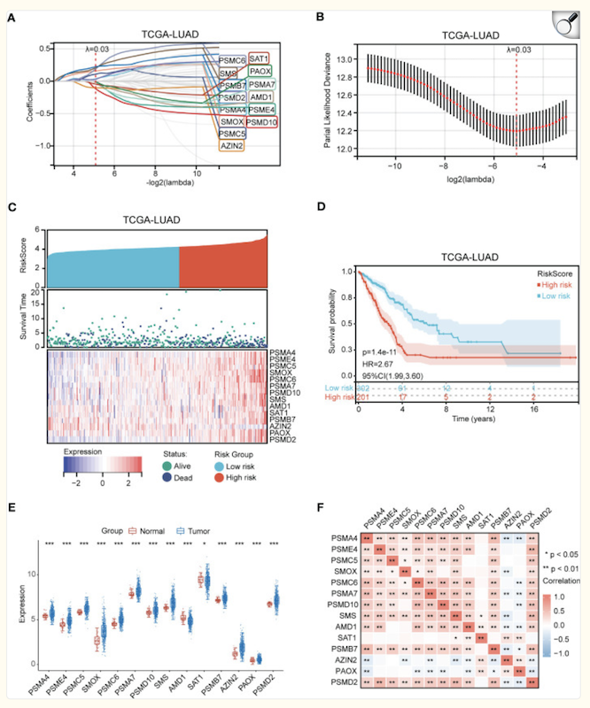 image-20251106121258767