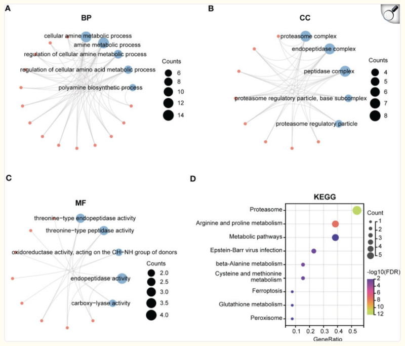 image-20251106121323075