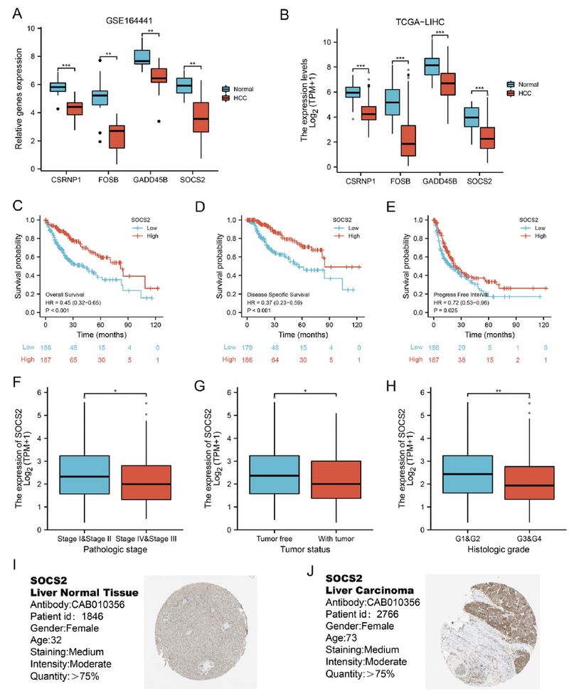 WindBlow-67QaxVf0-000082