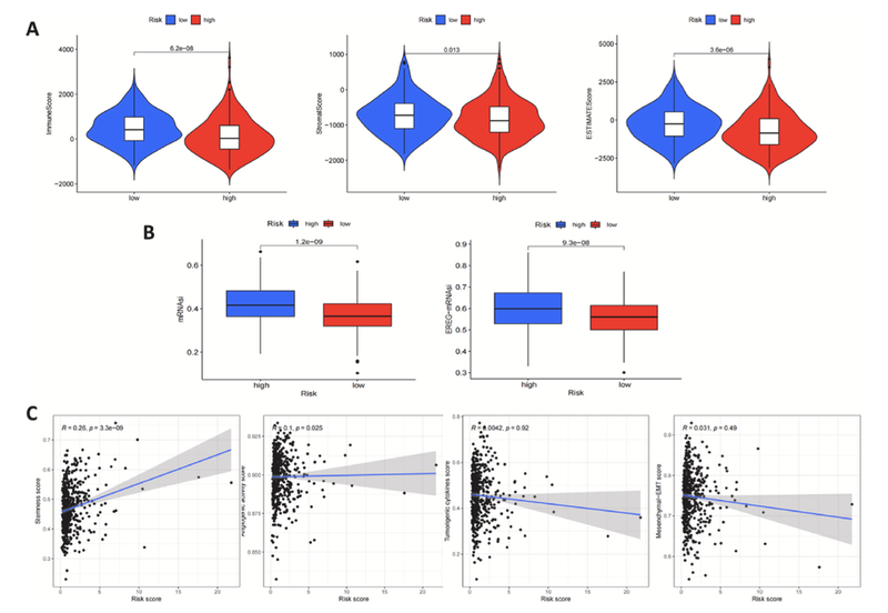 WindBlow-7XJUuWWw-000070