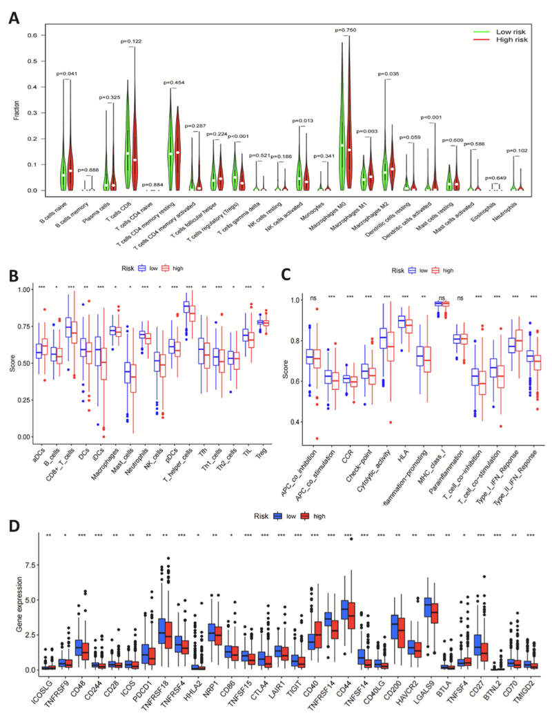 WindBlow-CNKOk5nW-000071