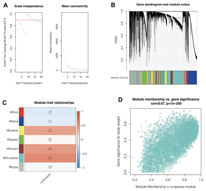 WindBlow-D7udQ3Uu-000057