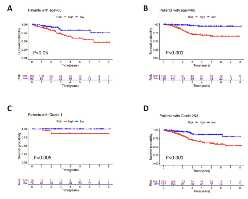 WindBlow-EyQirIp6-000068