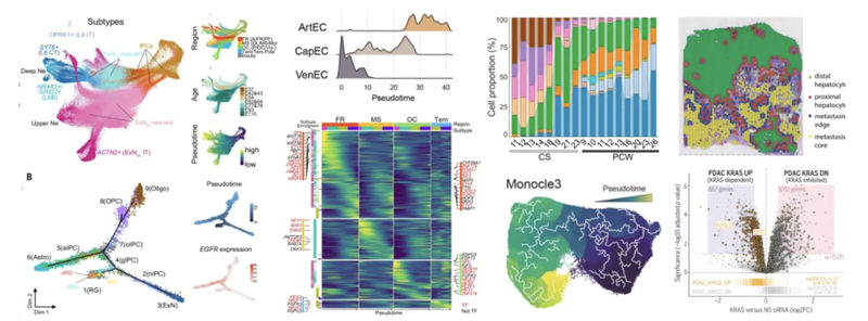 WindBlow-LxOw1DDK-000090
