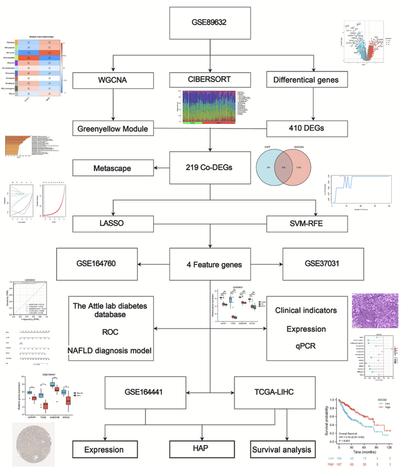 WindBlow-MP3Ktyan-000074