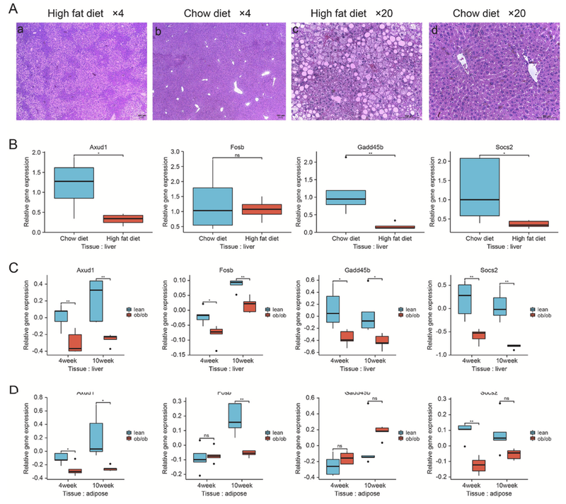 WindBlow-NZiMnxXu-000081