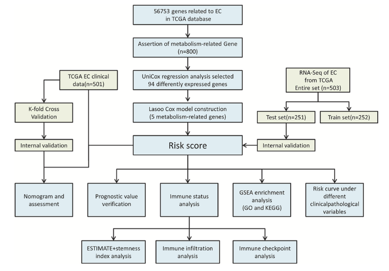WindBlow-NocJmQxA-000063
