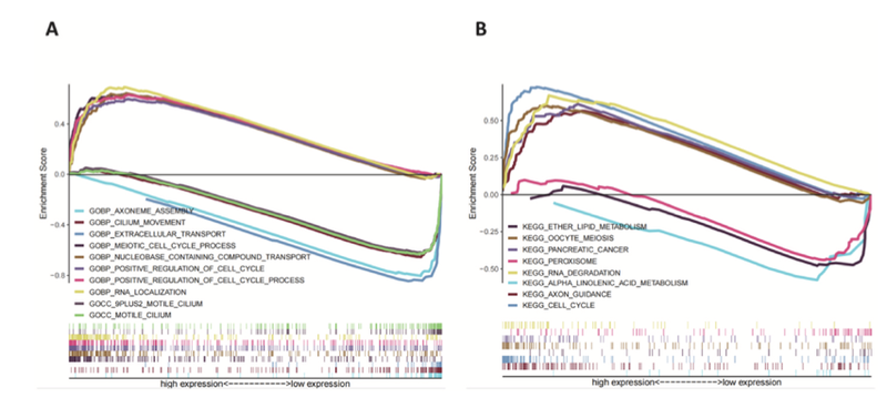 WindBlow-OiMiQOcD-000069