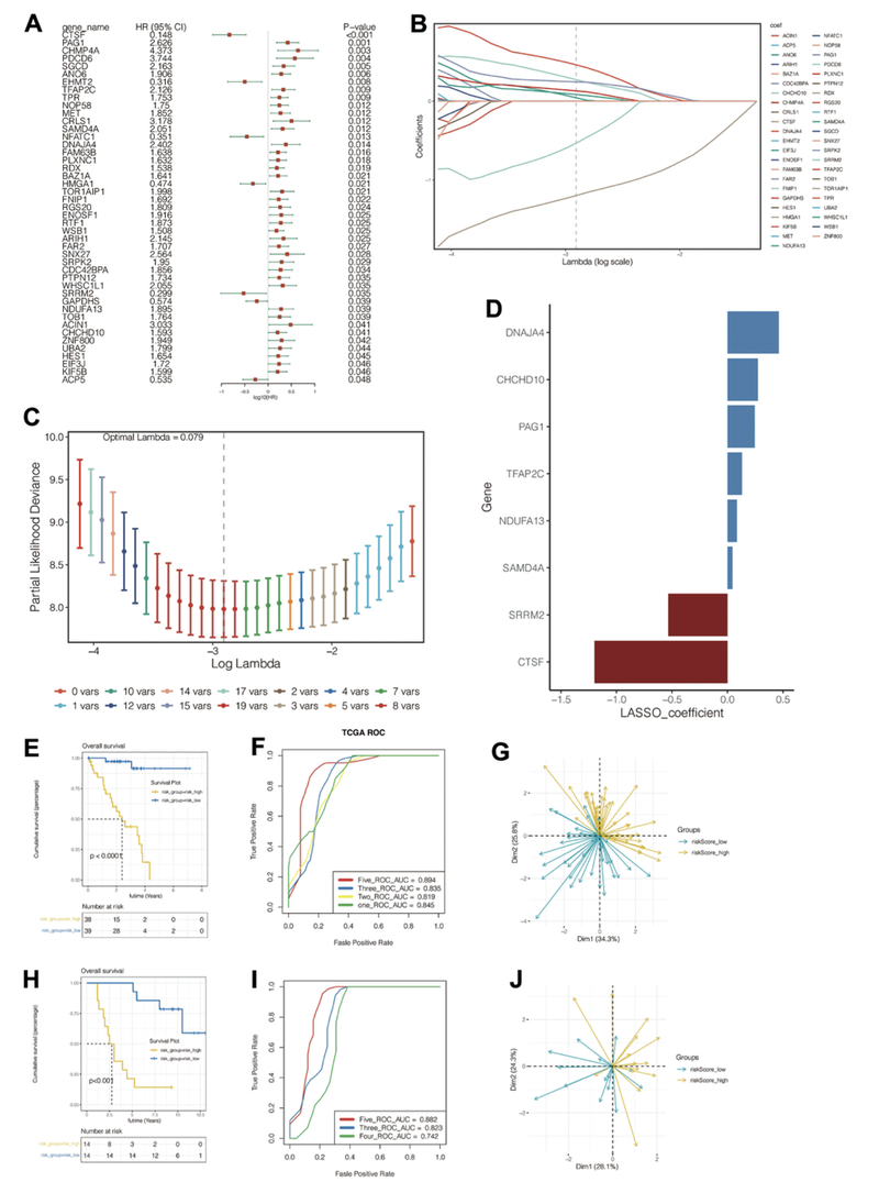 WindBlow-Osq6qPsD-000058