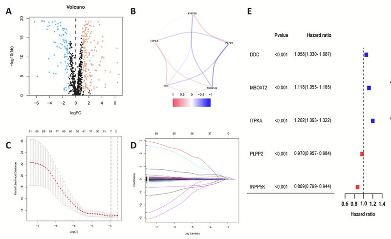 WindBlow-Qzr9tB4Y-000064