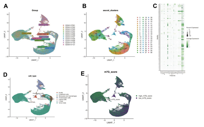 WindBlow-R2HRzW3l-000056