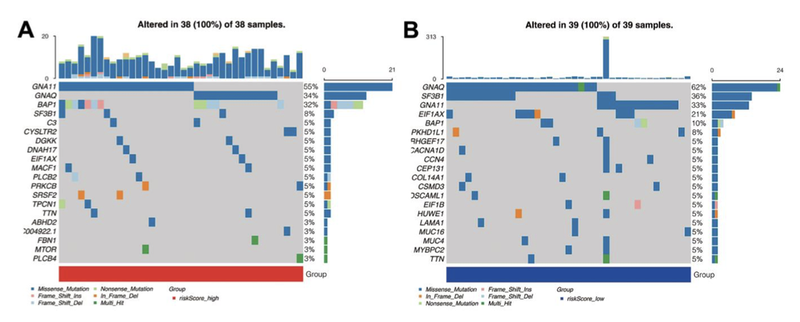 WindBlow-XgH1WVpO-000060