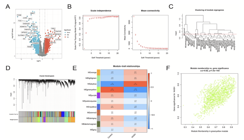 WindBlow-a4RLy7HL-000075