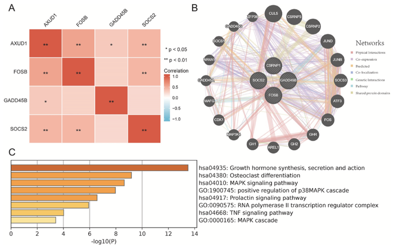 WindBlow-aDvBARLU-000080