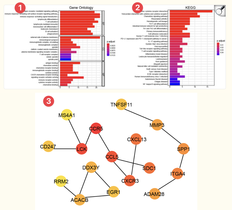 WindBlow-abNQyAW0-000034