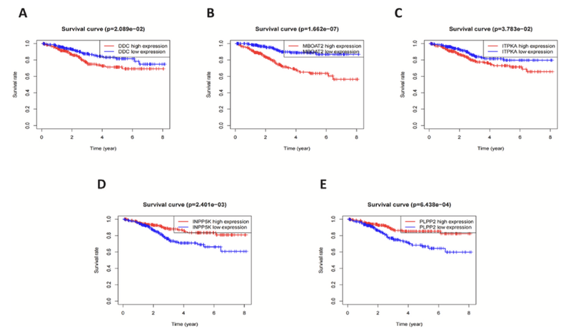 WindBlow-dMrVzCGD-000065