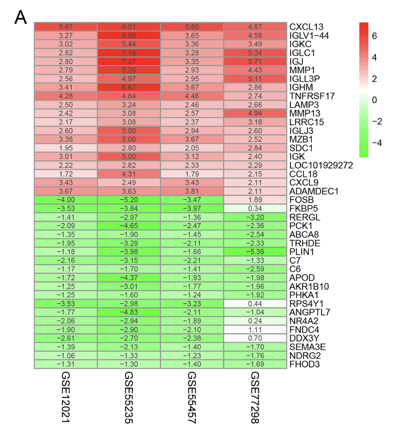 WindBlow-geA6OkbN-000032
