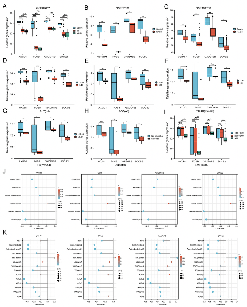 WindBlow-hFrJDH3G-000078