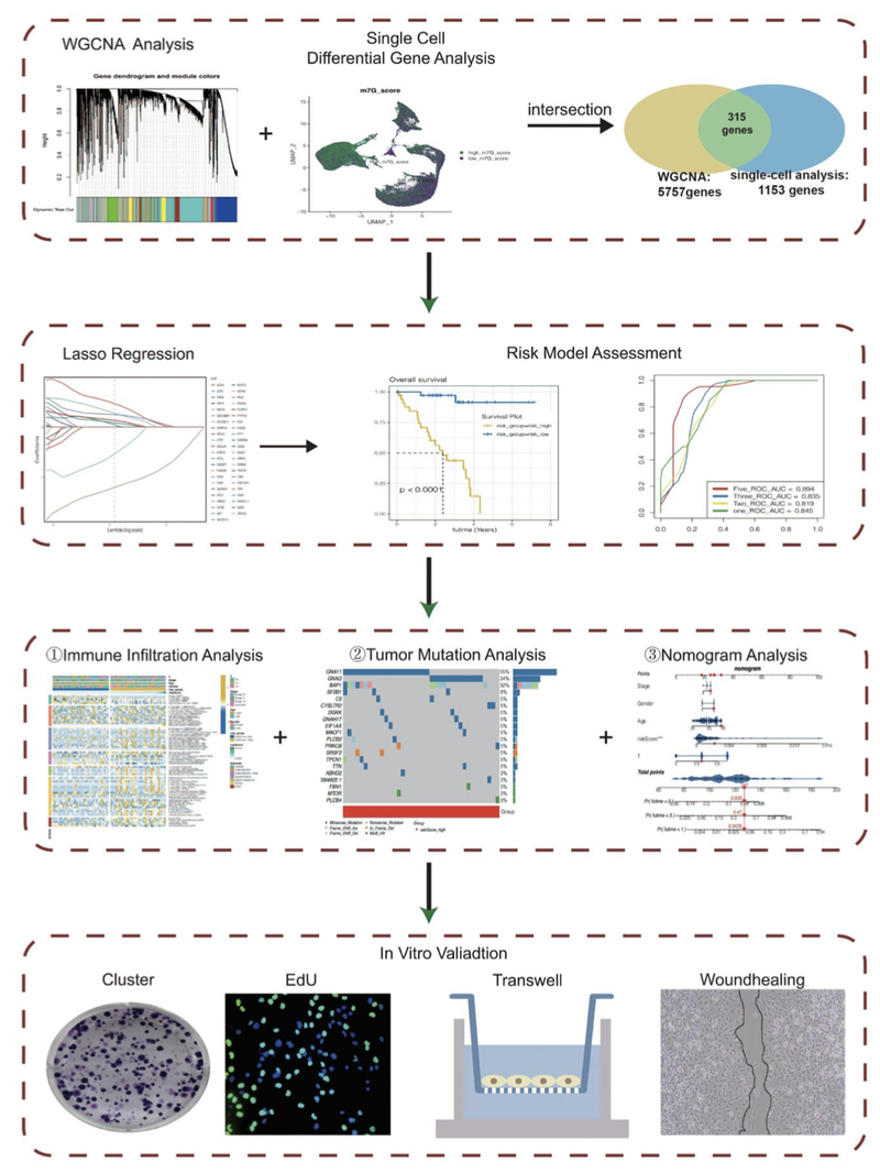 WindBlow-jKpNMc3v-000055