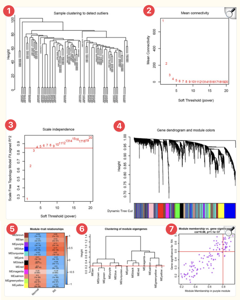 WindBlow-l4ODYU77-000036