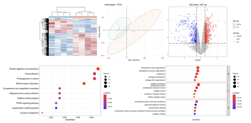WindBlow-m8DaNByc-000102