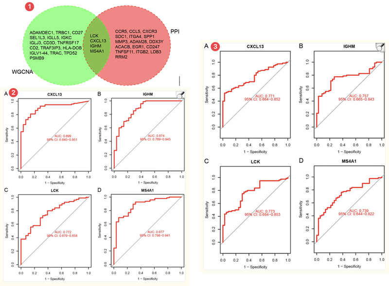 WindBlow-wQv4XlFu-000038