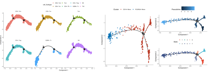WindBlow-yiPAm3Jo-000162