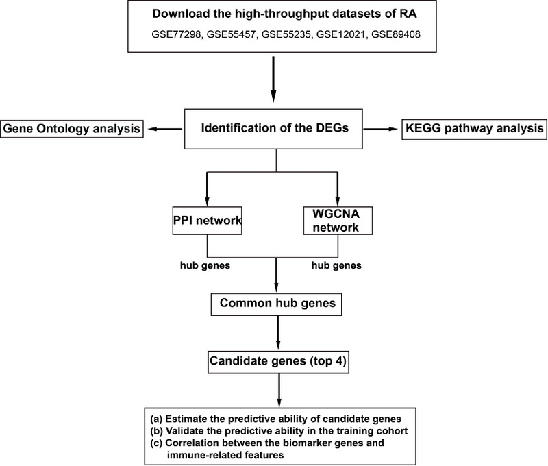 image-20251118153842673